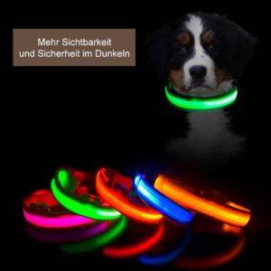 Premium Leuchtendes LED Halsband