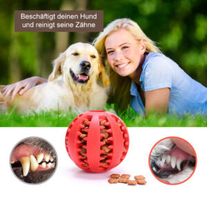 Premium Leckerliball Intelligenzspielzeug