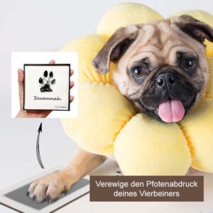 Premium Pfoten Stempelkissen