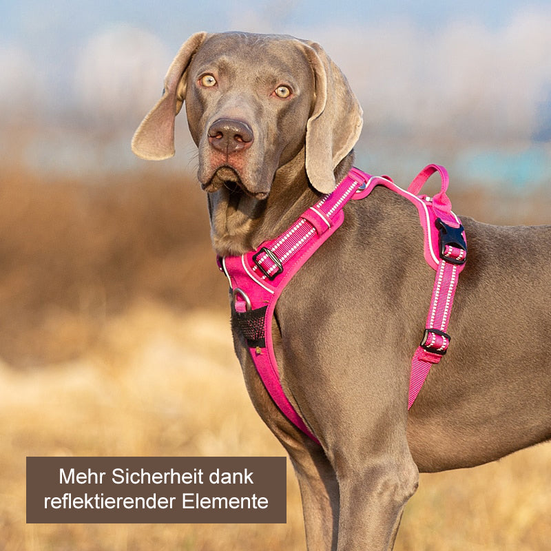 Premium Reflektierendes Geschirr