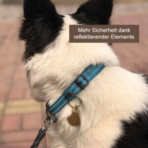 Premium Reflektierendes Halsband