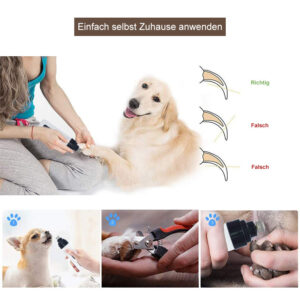 Alternative view of Premium Elektrischer Krallenschleifer