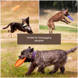 Alternative view of Premium Hunde Frisbee für Discdogging
