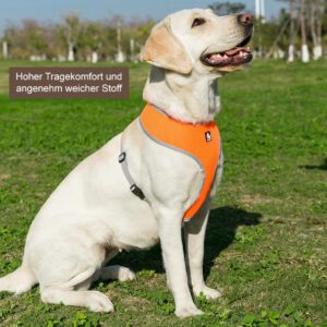 Premium Softgeschirr atmungsaktiv