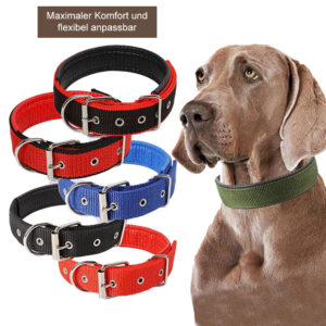 Premium Komfort Halsband verstellbar
